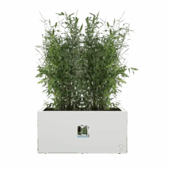 Elho Vivo Next Lang Wielen 80cm - Wit 13 Elho Vivo Next Lang Wielen 80cm - Wit -Gardena Verkoop vivo next lang wielen 80cm wit 5 1