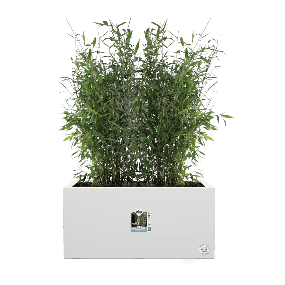 Elho Vivo Next Lang Wielen 80cm - Wit 7 Elho Vivo Next Lang Wielen 80cm - Wit - Afbeelding 5