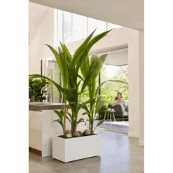 Elho Vivo Next Lang Wielen 80cm - Wit 15 Elho Vivo Next Lang Wielen 80cm - Wit -Gardena Verkoop vivo next lang wielen 80cm wit 7 1