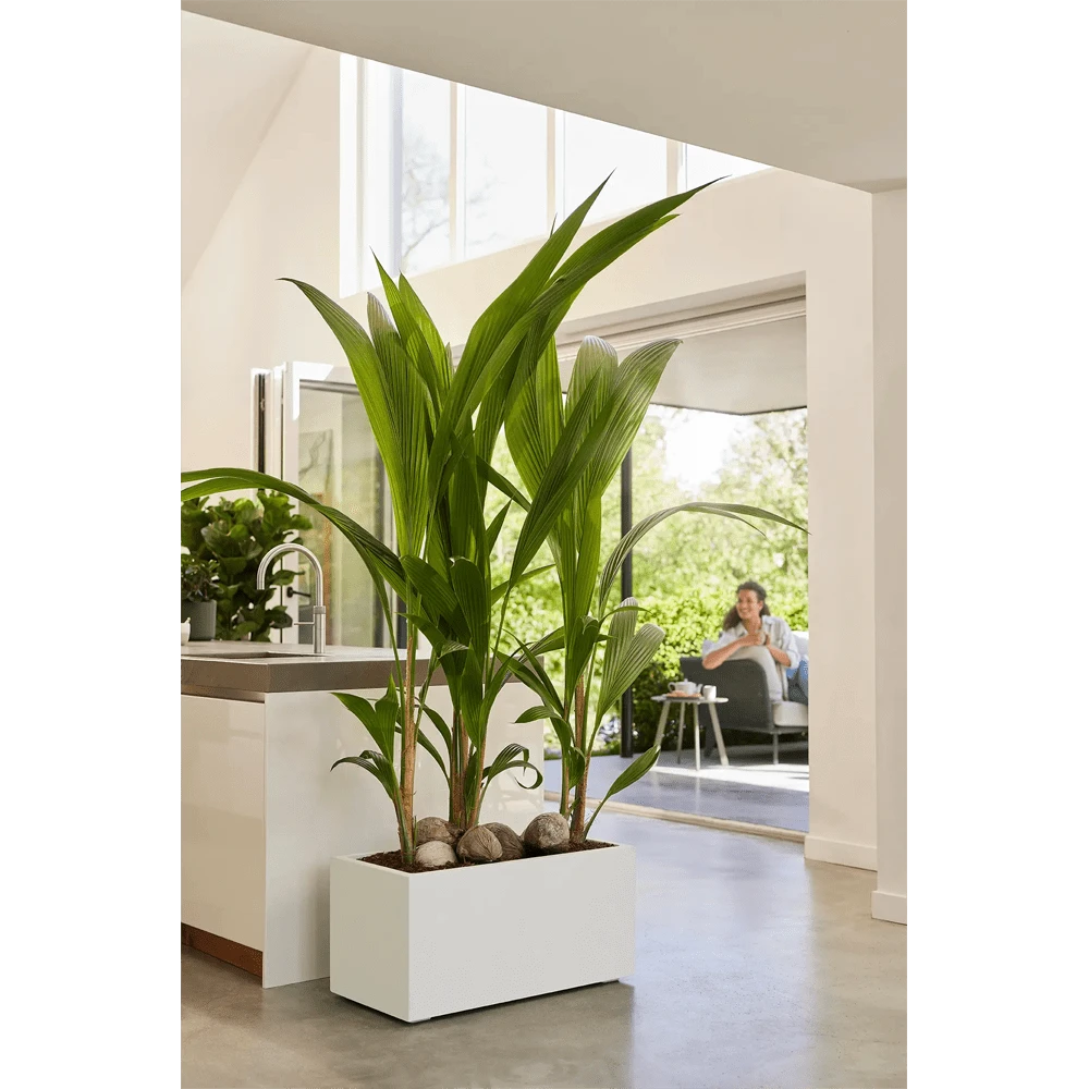 Elho Vivo Next Lang Wielen 80cm - Wit 9 Elho Vivo Next Lang Wielen 80cm - Wit - Afbeelding 7